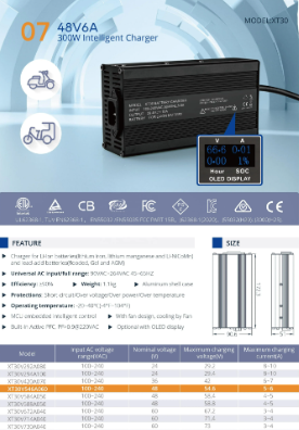 Customized 12V 24V 36V 48V 60V li ion lifepo4 smart car ebike battery charger for e motorcycle scooter golf cart